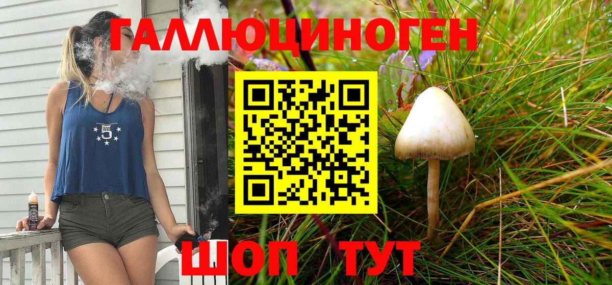 Псилоцибиновые грибы Psilocybe  Вход с VPN  купить   Галлюциногенные грибы мицелий  Зерноград 