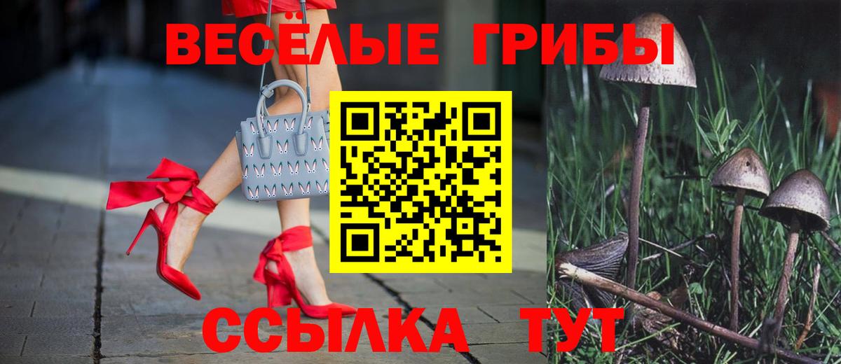 Псилоцибиновые грибы Psilocybine cubensis Зерноград